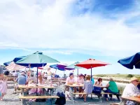 Craigville Beach Uber Relaxing Cape Cod Beach House w/ Beach Pass & Central Air Hotels in Centerville
