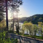 Stunning Lake View Cabin with a 240 degree view of Lake Gregory, Sleeps 8