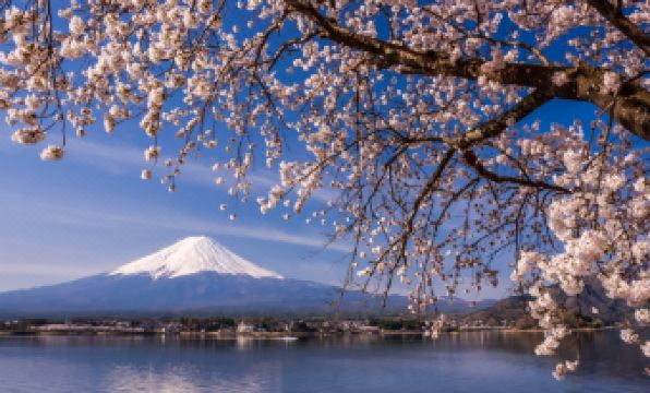 3. 마 메종 사이코..