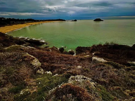 Ajonc, Bord DE MER ET Cote Sauvage
