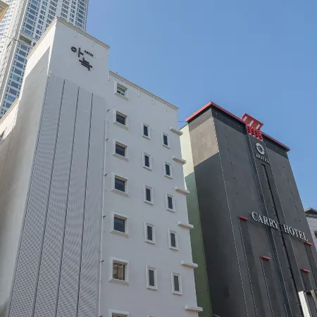 Anook Hotel Ilsan Tanhyeon Отели рядом с достопримечательностью «Библиотека «Карам»»