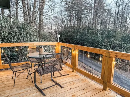 "18 Seasons" Seconds to Blue Ridge Parkway, & Mabry Mill. Game room w/Bar