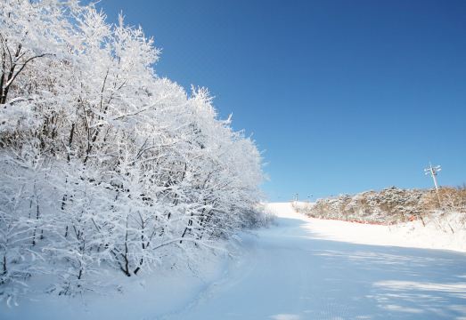 웰리힐리파크 시설