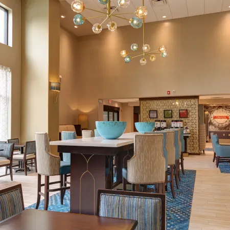 Hampton Inn and Suites by Hilton Tampa Busch Gardens Area