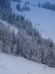 Le Féto