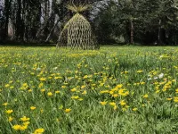 Traditional Breton farmhouse with garden, wood-burning stove and sauna Hotels in Tregunc
