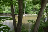Peyper Fields Creekside Camp - homestay