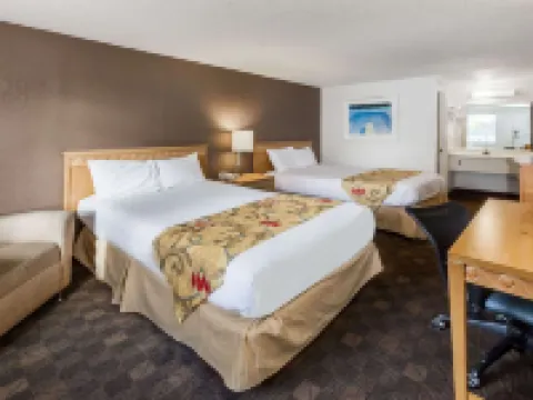 Knights Inn Flint Hotels in Flint