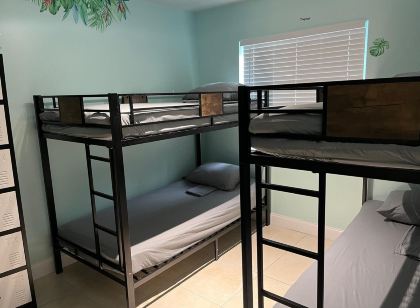 Summer Gardens Wynwood Concept