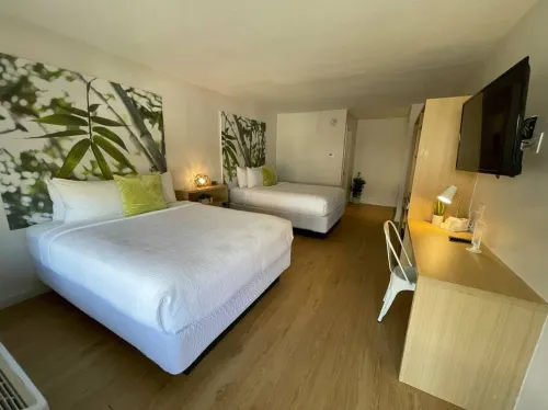 Newly Renovated Room in Cozy Hotel Near Disney 2