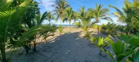 Hotel Playa Westfalia - Beach