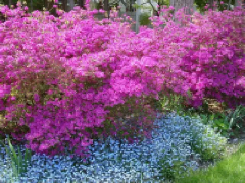 ดิเอิร์ล ออฟ แซนด์วิช โมเต็ล โรงแรมในSandwich