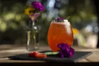 Banyan Tree Veya, Valle de Guadalupe - 5-Sterne