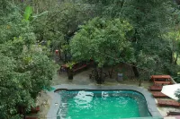Gold Plus Hotel