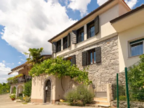 Villa Salvia - Holiday House with Pool - Hotels in Matulji