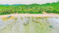 Atremaru Jungle Retreat - Beach
