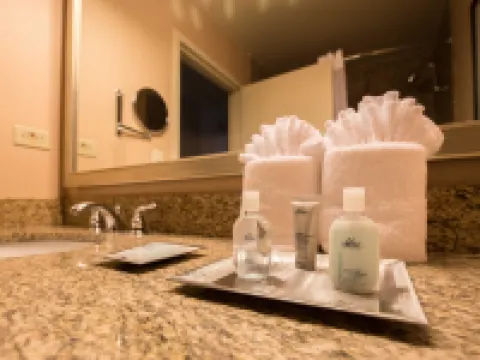 Wyndham Chicago O'Hare Hotels in Des Plaines