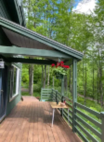 Mountain Forest Retreat w Cedar Hot Tub - Western Catskills