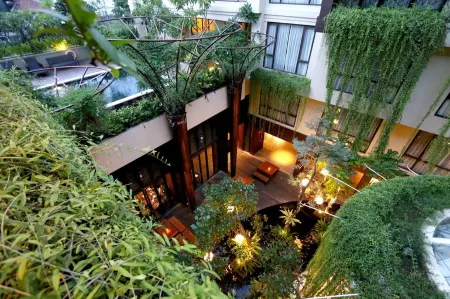 Swiss-Belhotel Rainforest