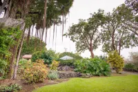 Sunny condo with oceanview, pool, washer/dryer, & balcony