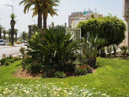 Novotel Tunis Отели рядом с достопримечательностью «Avenue Habib Bourguiba»