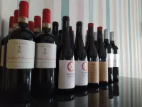 Hotel Butterfly Wellness & Spa - bar