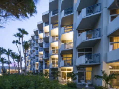 希爾頓阿魯巴加勒比度假村及 棕櫚灘酒店