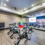 Cozy 1Br King Suite Close to Downtown w Fast Wifi - Gym