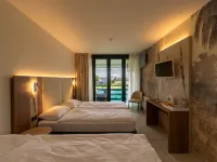 Hotel Tiziana Hotels in Losone