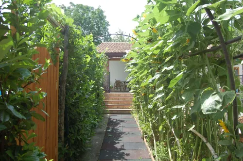 Rabbit Hotels in Agerola