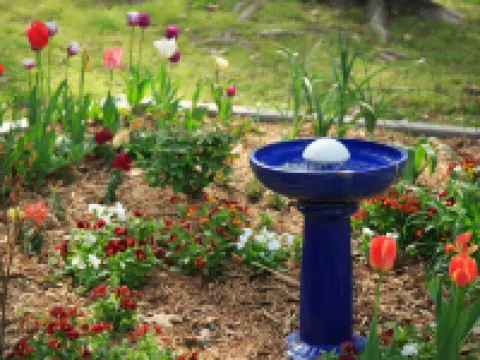 Tiffany's Bed and Breakfast Hotels in Hot Spring County