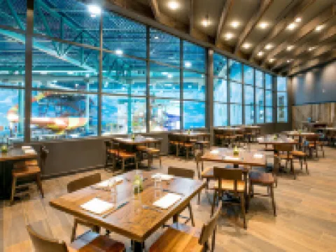 เกรทวูลฟ์ลอดจ์ อิลลินอย โรงแรมในGurnee