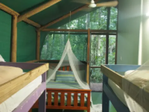 Daintree Crocodylus Hotels in Daintree