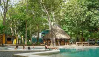 Dreamsea Surf Camp - en bord de mer