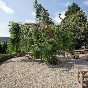 Rosemount Hotel Отели в г. Питлохри