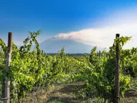 Nèroli Bio Relais Hotels in Belpasso