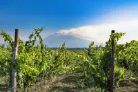 Nèroli Bio Relais Hotels in Belpasso