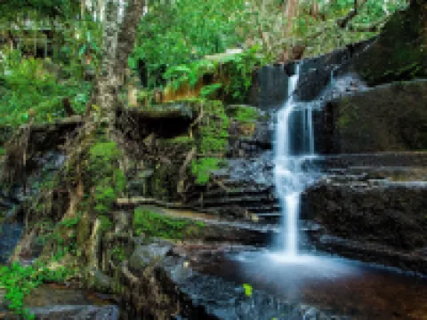 Beetleloop Guest House Hotels in Ehlanzeni