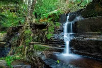 Beetleloop Guest House