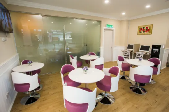 ラベンダー イン USJ