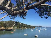 Opua Boutique Seaview Motel Hotels in Opua