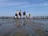 Hotel Waddengenot - 3 звезды
