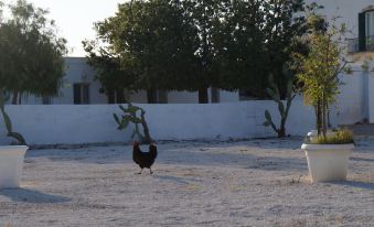 Masseria di Benedetto