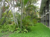 호텔 포자 리카 인  호텔