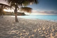 Limetree Beach Resort by Club Wyndham - Bãi biển
