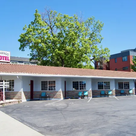 Flamingo Motel