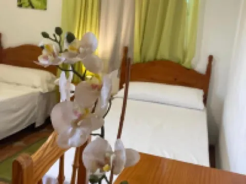 Pensión Amparo Las Hayas Hotels in Gomera