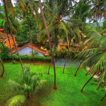 Indie Stays Goa