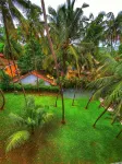 Indie Stays Goa