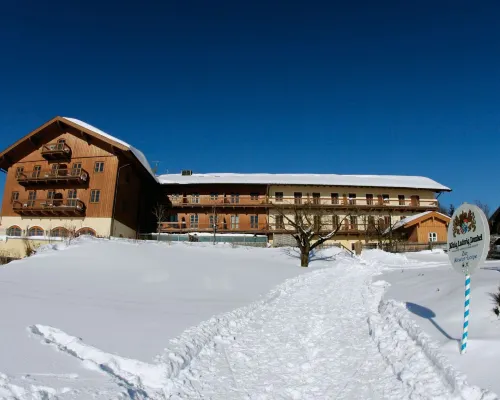 Hotel Und Landgasthof Altwirt Hotels in Holzkirchen